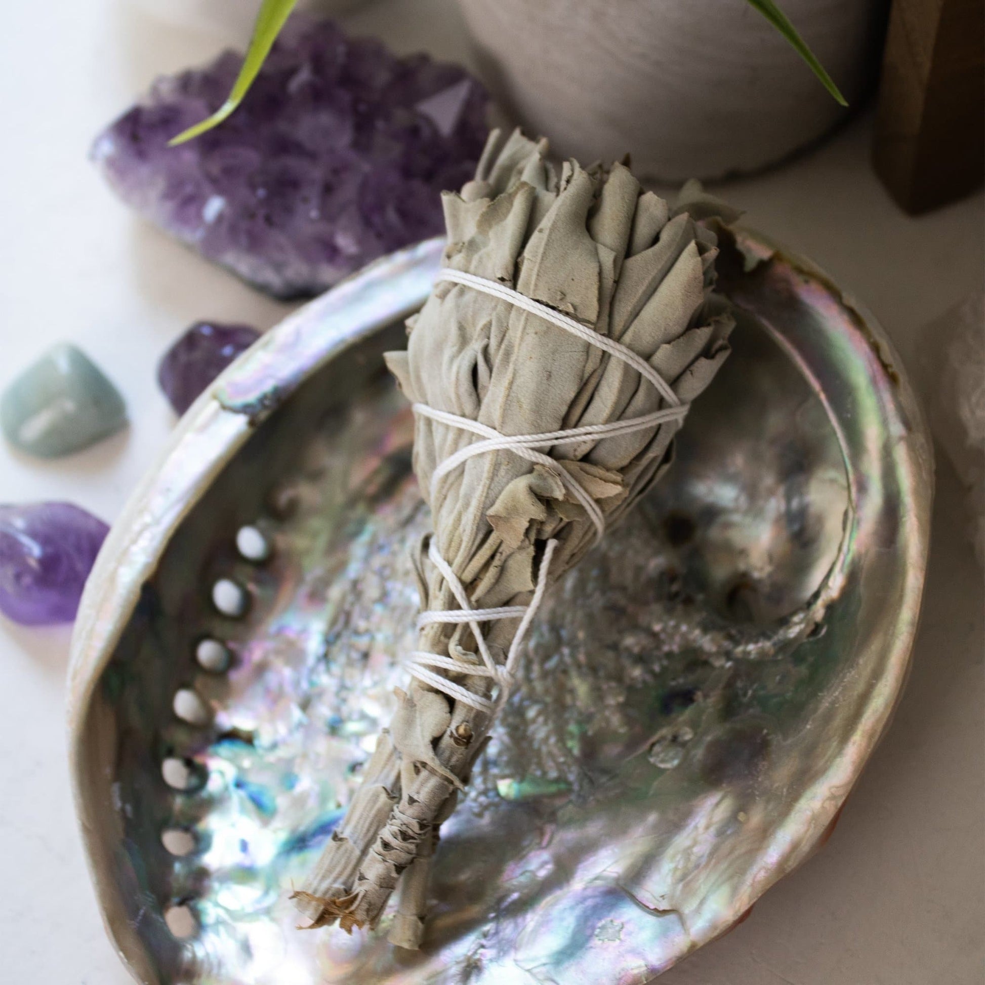 Sage Smudge Stick - 3" - Muse + Moonstone