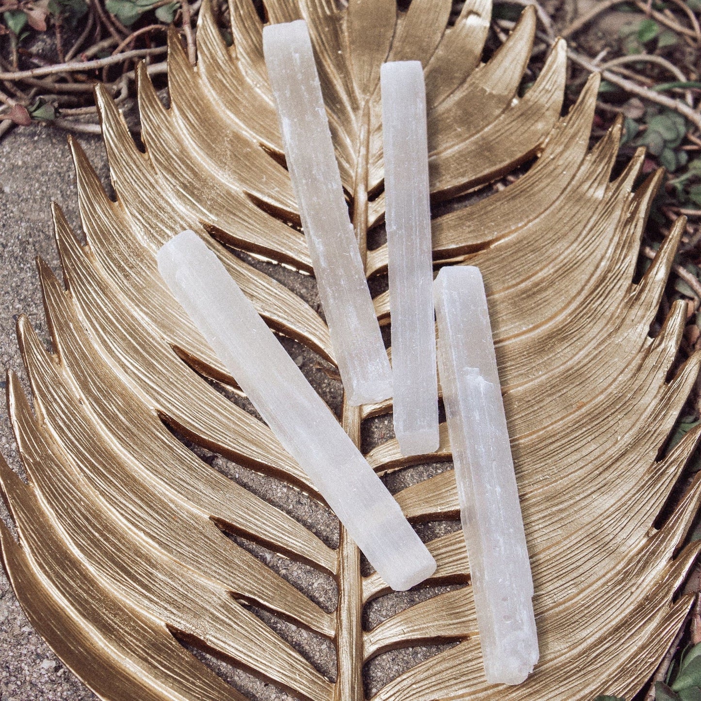 Selenite - Wands - Muse + Moonstone