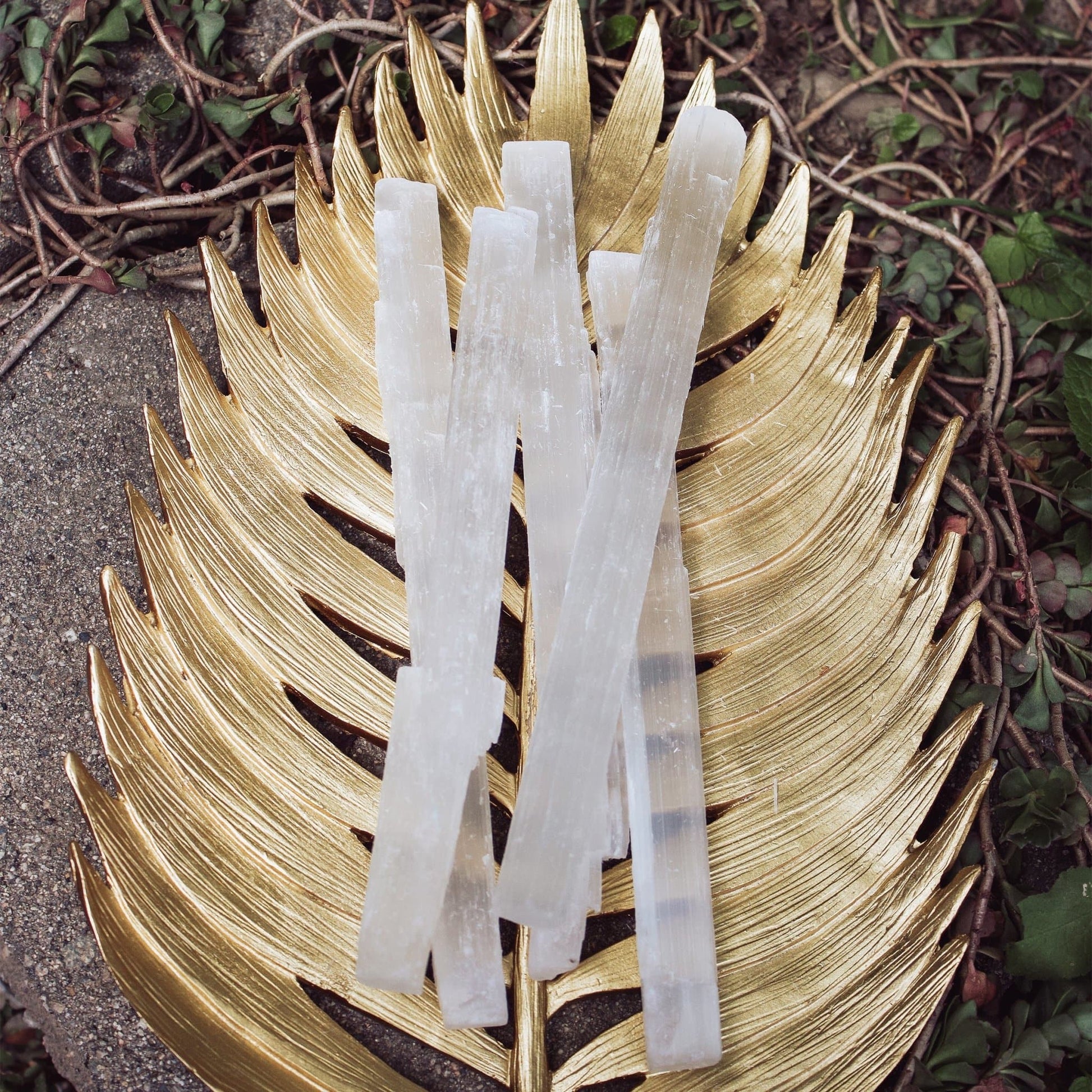 Selenite - Wands - Muse + Moonstone