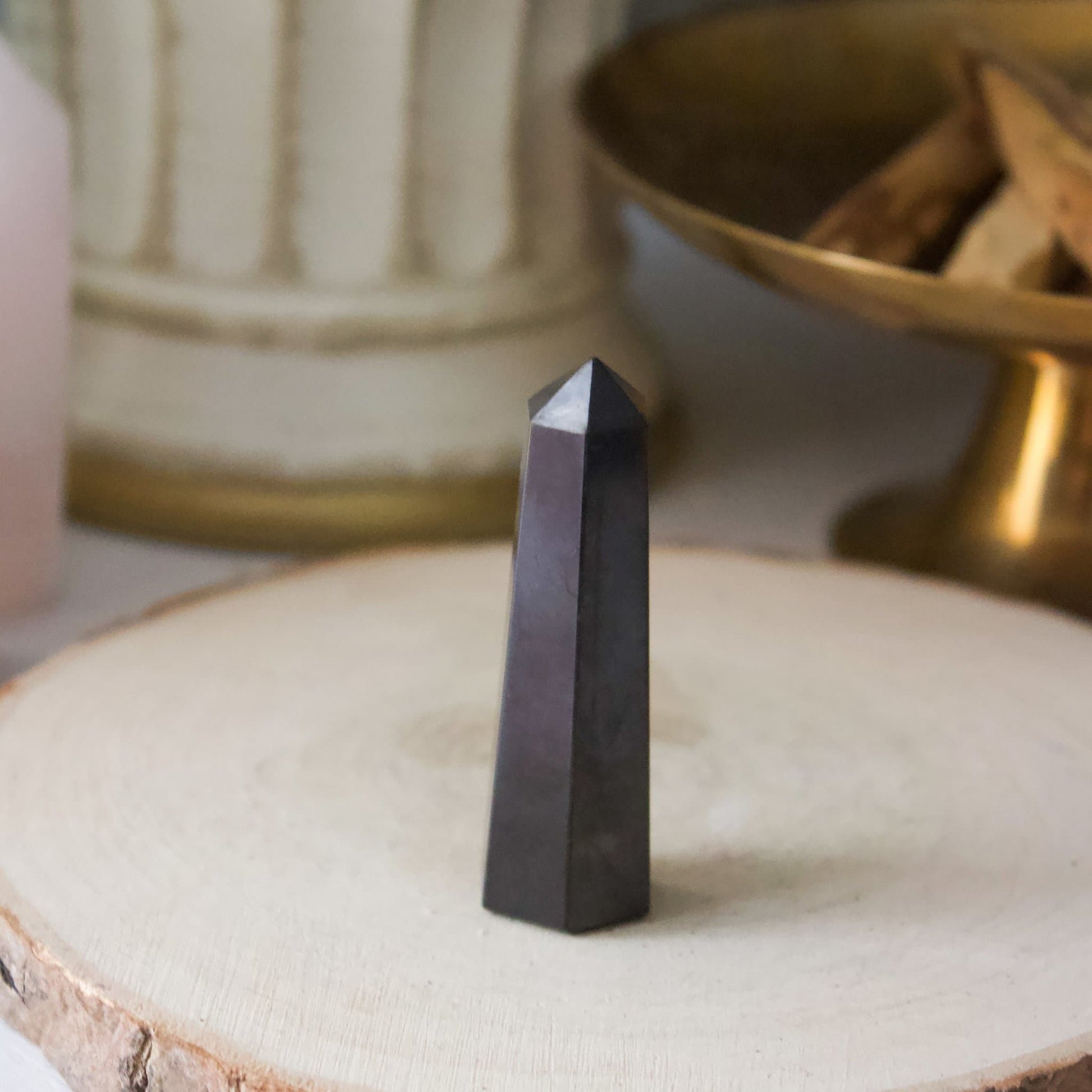 Shungite - Polished Point - Muse + Moonstone