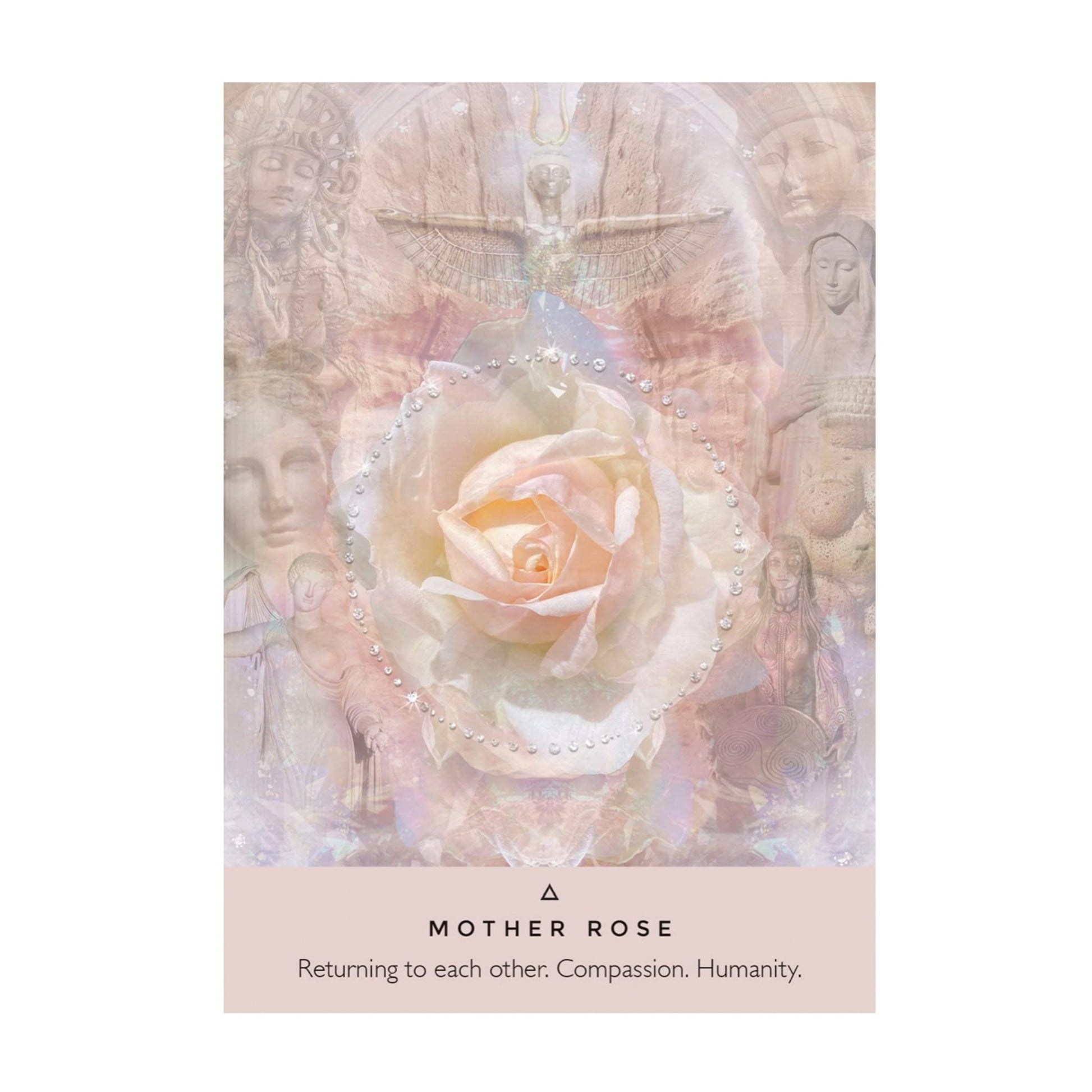 The Rose Oracle: A 44-Card Deck and Guidebook by Rebecca Campbell - Muse + Moonstone