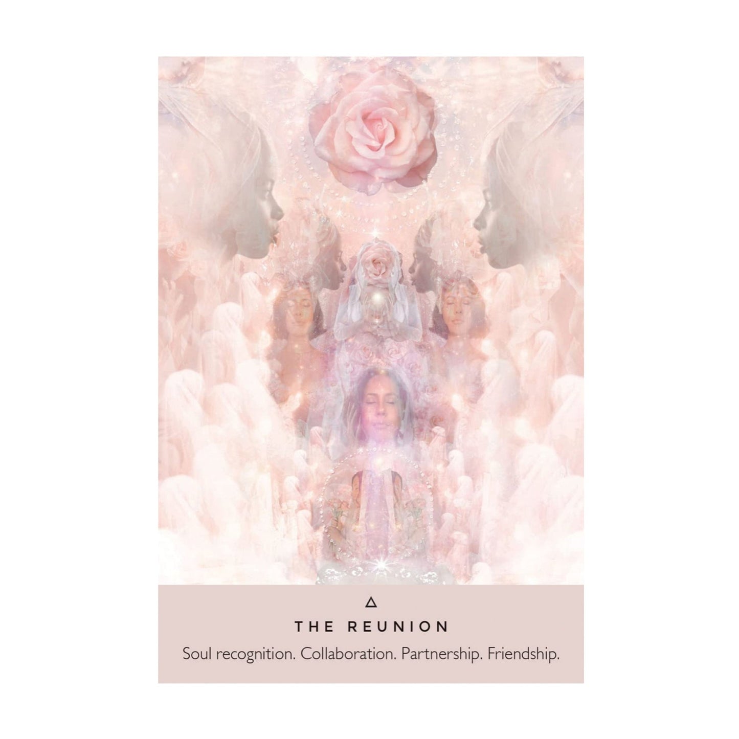 The Rose Oracle: A 44-Card Deck and Guidebook by Rebecca Campbell - Muse + Moonstone