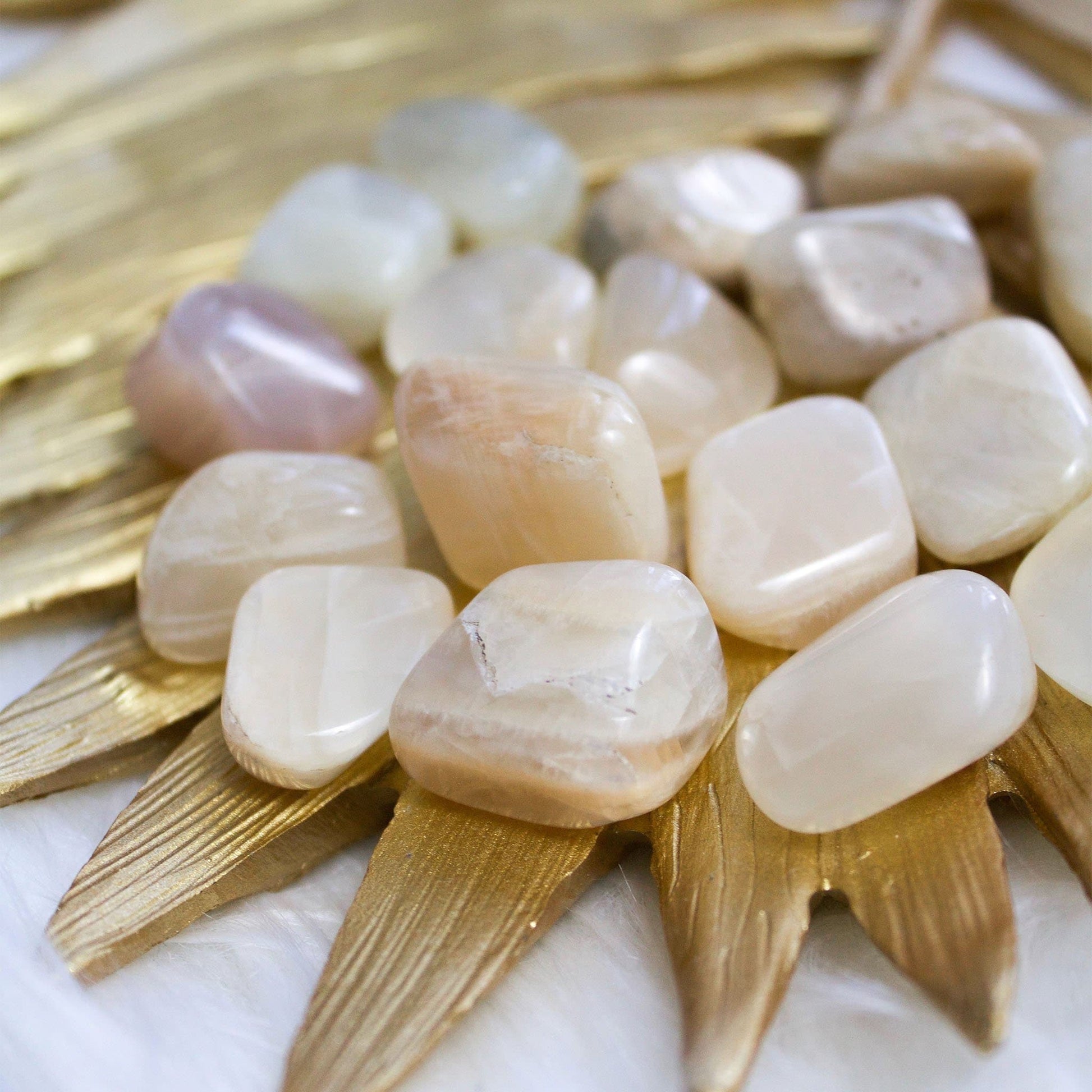 White Moonstone - Tumbled - Muse + Moonstone